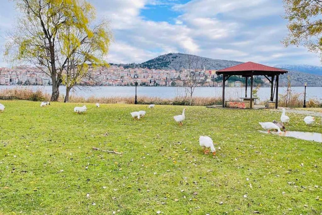 Lida'S Apartment Lake View Kastoria Exterior foto